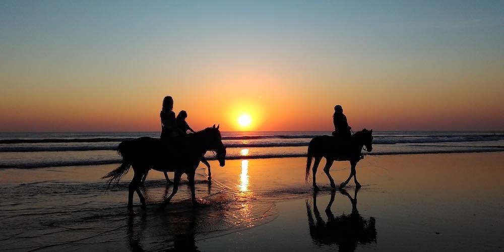 Beach Horseriding