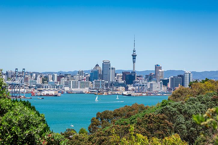 Things To Do On a Christchurch - Auckland Roadtrip