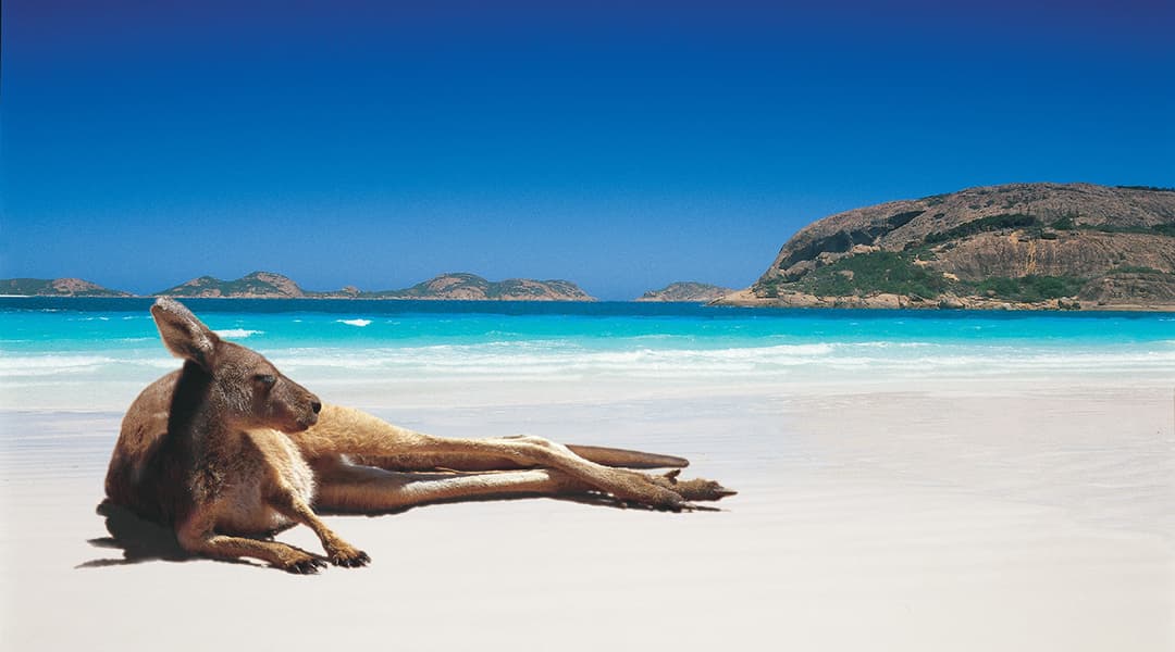 Things to do in Australia this Summer