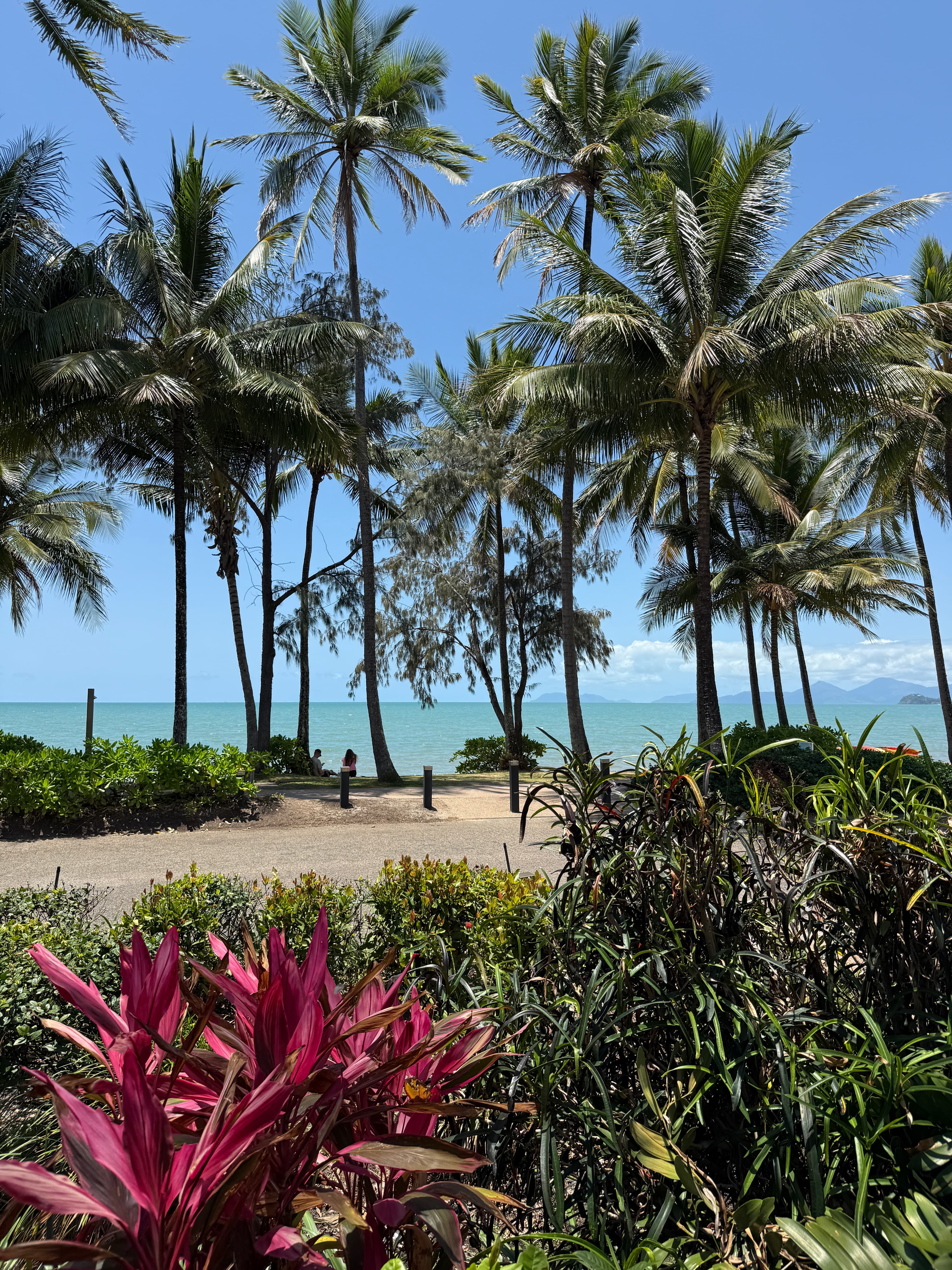 Planning a road trip to Cairns? Check out our guide for must see stops, day trips, and the best restaurants & bars. Drive to Cairns for $1 per day with Imoova.