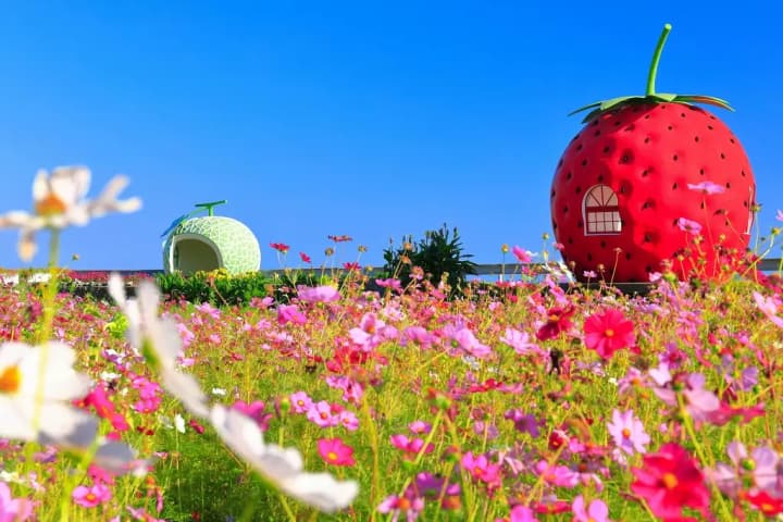 Japan is famous for its temples, neon cities, and cherry blossoms — but travel the countryside and you’ll discover another side of the country.