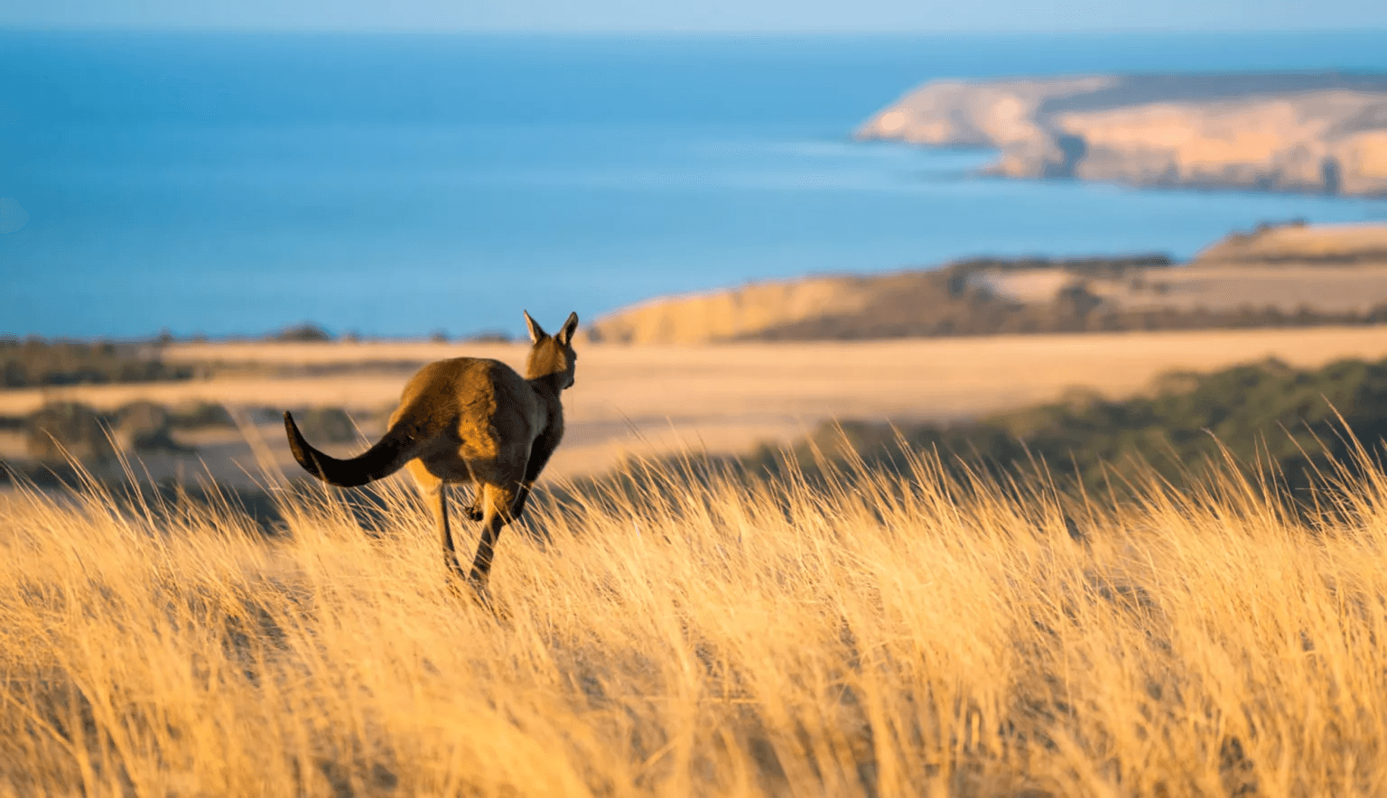 From rugged outback ranges to world-class wine valleys and dramatic coastlines, South Australia is packed with under-the-radar gems.